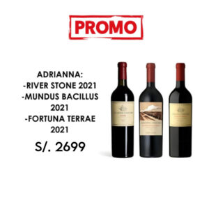 Promoción Adriana: River Stone 2021 - Mundus Bacillus 2021 - Fortuna Terrae 2021